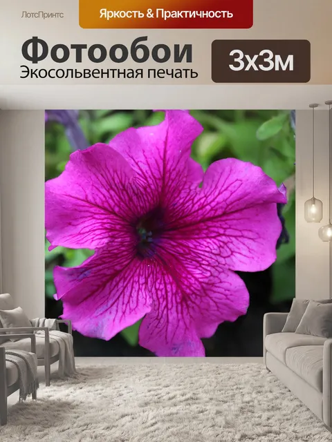 Фотообои Цветы