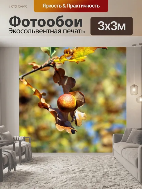 Фотообои Листья
