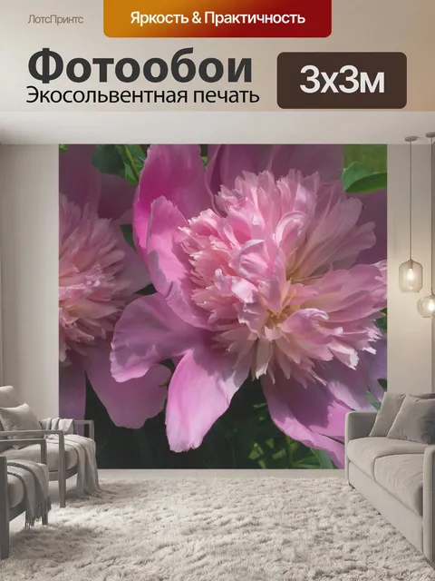 Фотообои Розовый пион Цветы