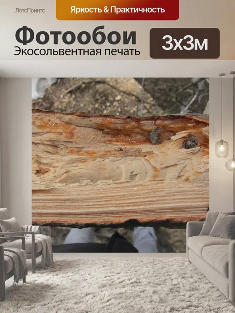 Фотообои природа, дерево, сломаное