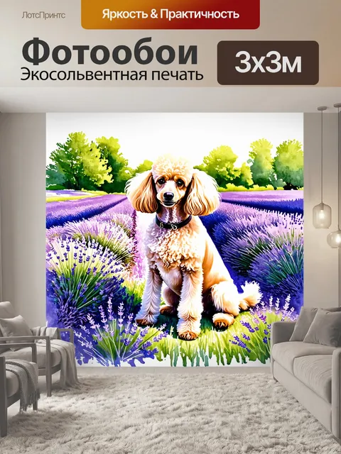 Фотообои пудель, сидящий среди цветущих полей лаванды, яркие фиолетовые цветы окружает его, в солнечном свете он…