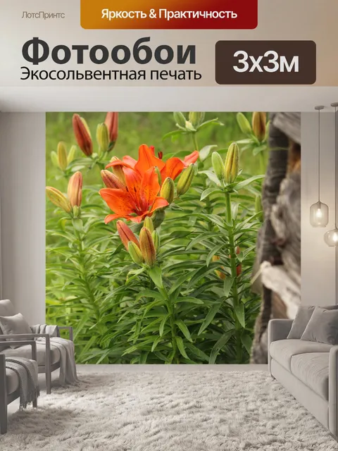 Фотообои Оранжевый цветы лилии