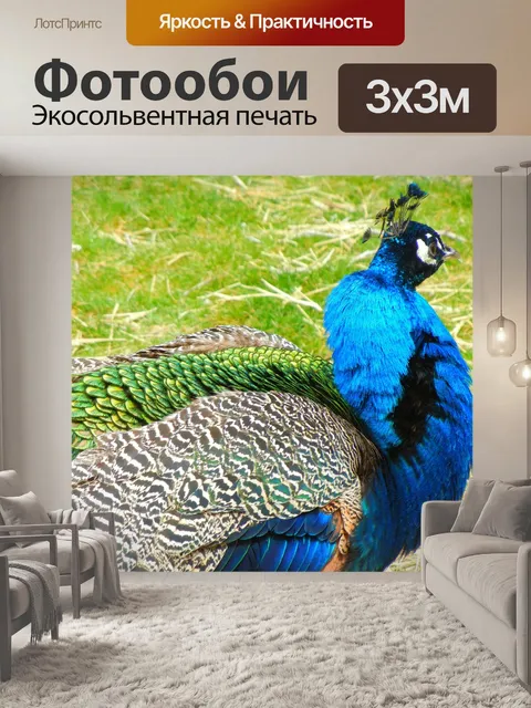 Фотообои Птицы