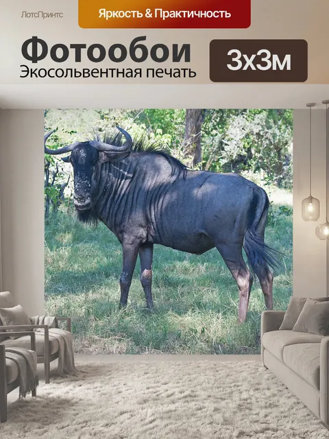 Фотообои синий гну, под деревом
