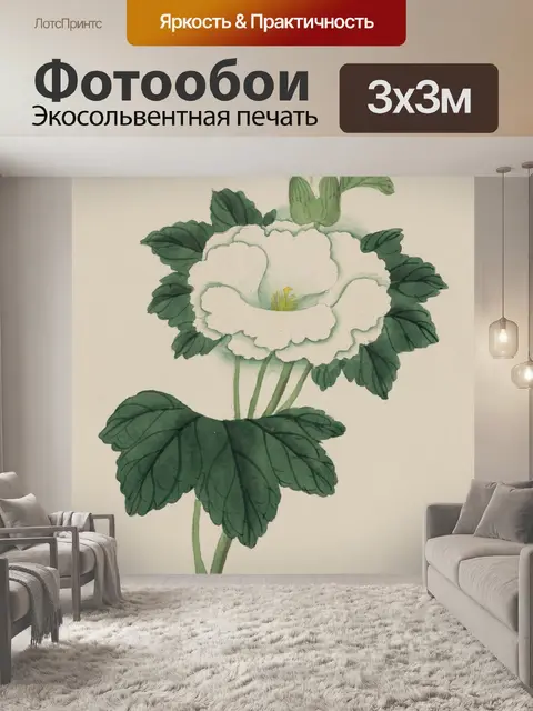 Фотообои Цветы