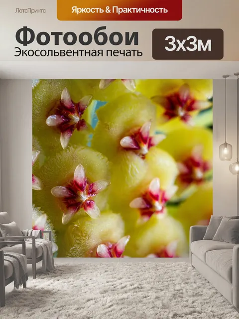 Фотообои Voskovka