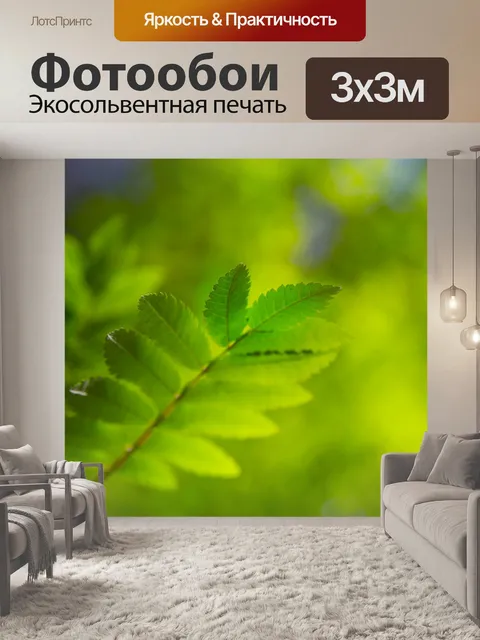Фотообои Зеленые листья