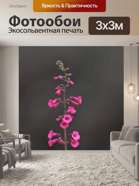 Фотообои Розовые цветы трубы