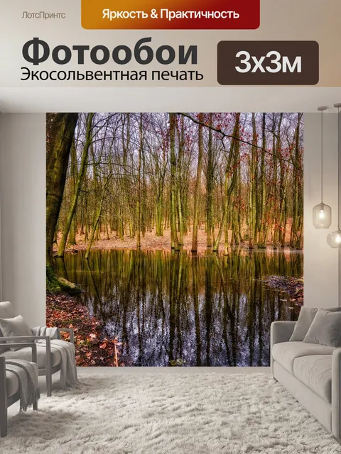 Фотообои Лес