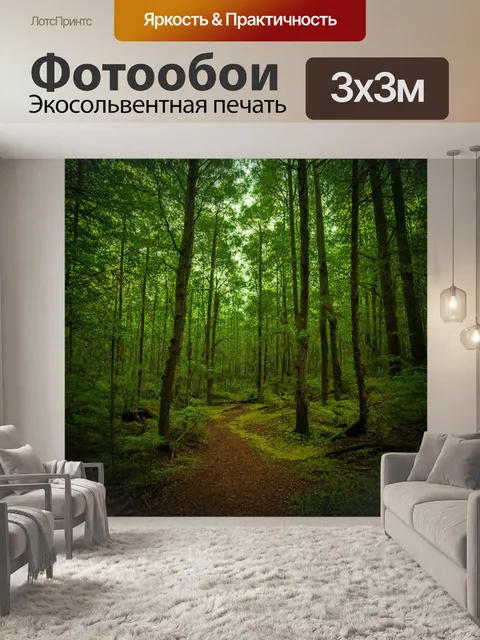 Фотообои моменты спокойствия и тишины, захваченные в лесу