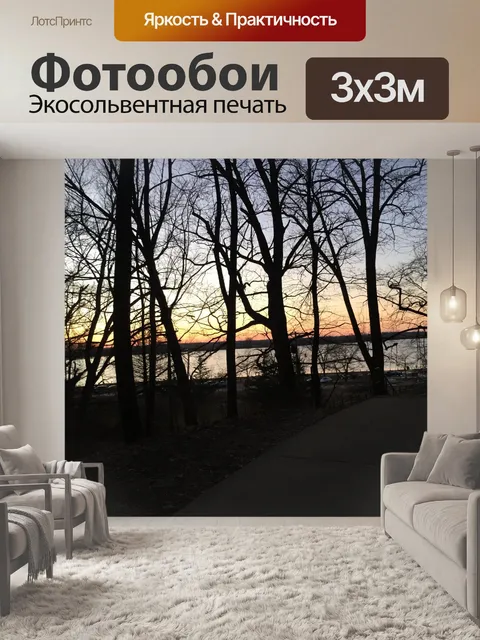 Фотообои Силуэт дерева на закате
