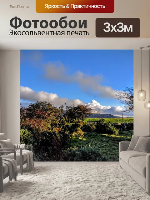 Фотообои Деревья