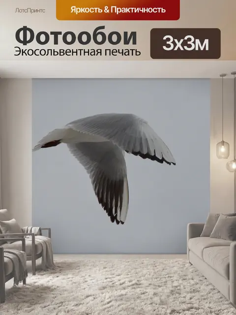 Фотообои Цапля 14
