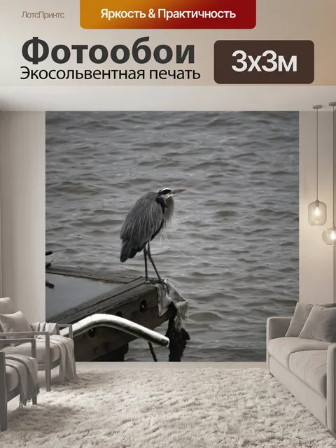 Фотообои голубая цапля на краю причала