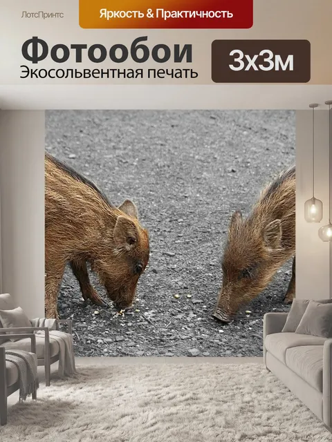 Фотообои Новички
