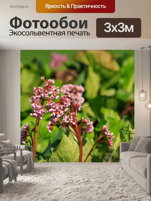 Фотообои Весна в парке