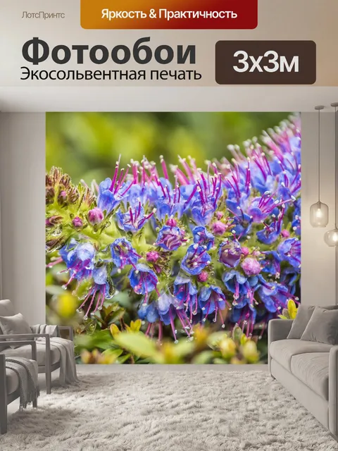 Фотообои Цветы