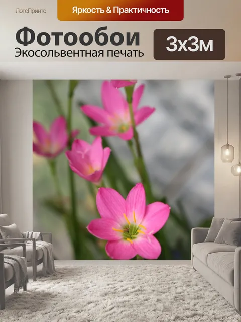 Фотообои Розовый цветок блеск