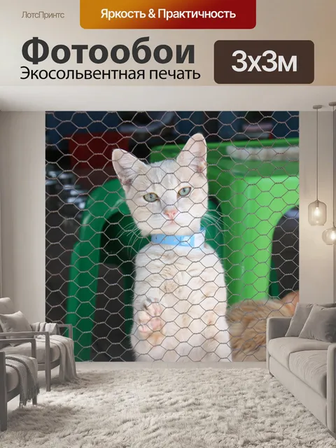 Фотообои Кошка