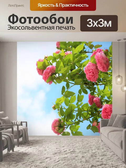 Фотообои Rose