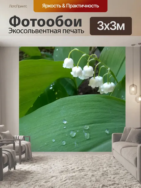 Фотообои Молочница
