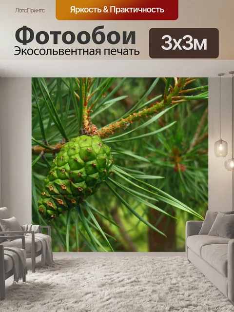 Фотообои Лес