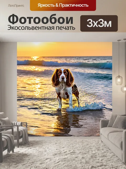Фотообои спаниель на берегу моря, волны аккуратно омывают его лапы, а закат окутывает сцену золотым светом