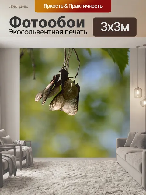 Фотообои Фрукты