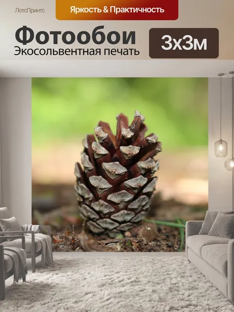 Фотообои Шишка