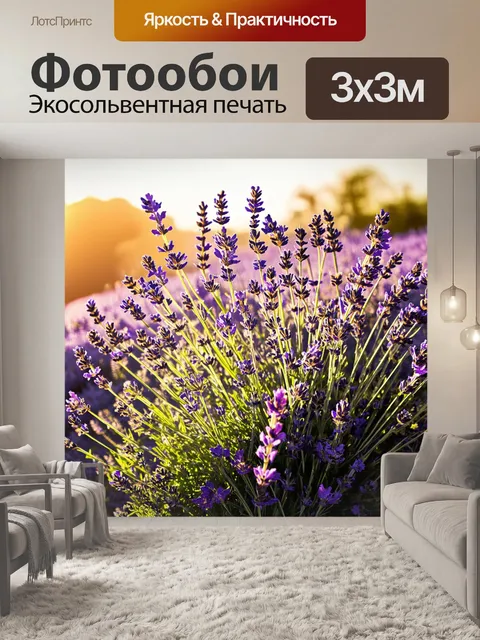Фотообои пышный куст лаванды, наполненный яркими, фиолетовыми цветками, расцветающими на закате