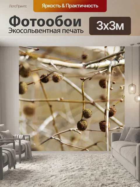 Фотообои Сладкие шарики дерева