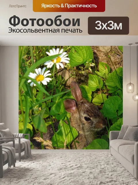 Фотообои Кролик