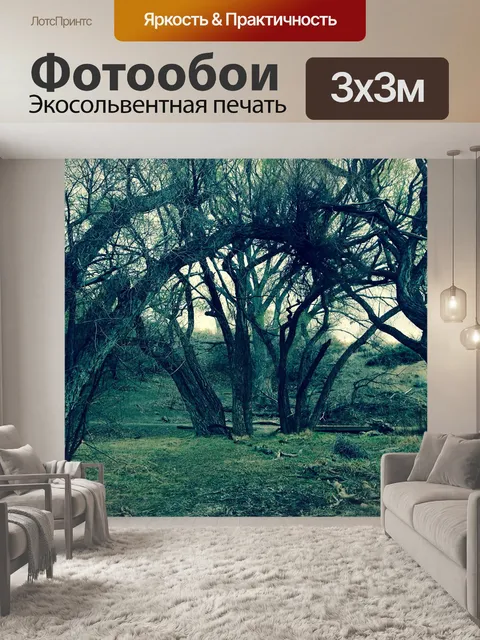 Фотообои Деревья