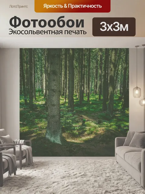 Фотообои Деревья в лесу