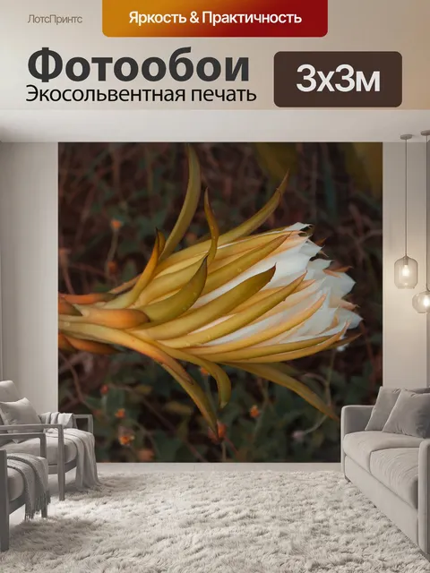 Фотообои Фрукты