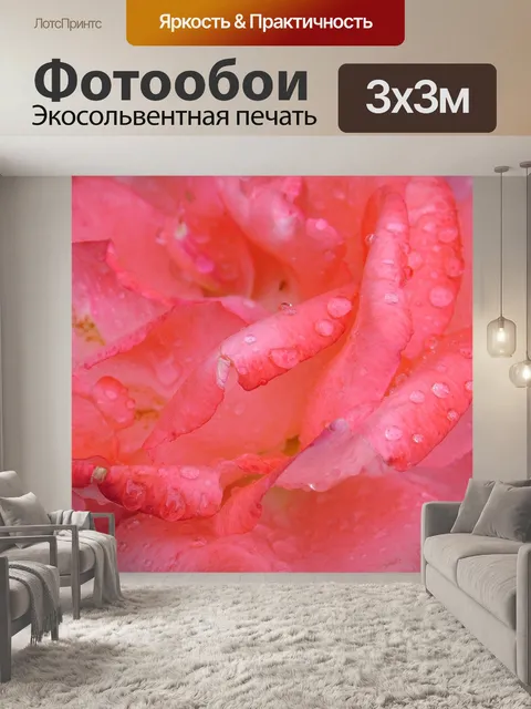 Фотообои Роза