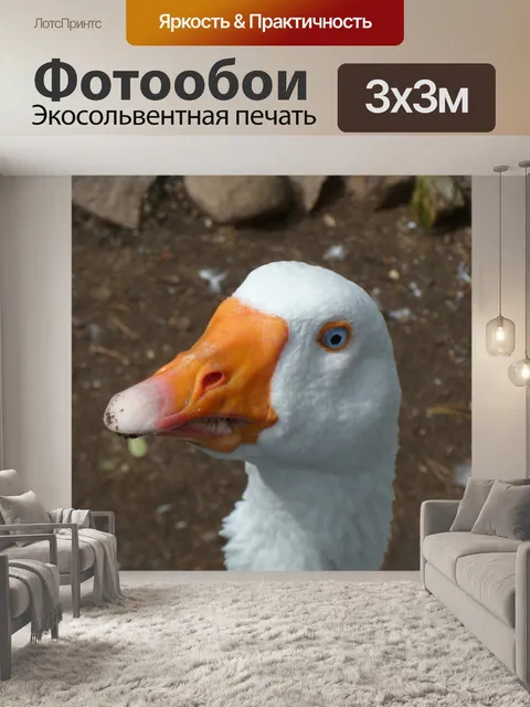 Фотообои Животное
