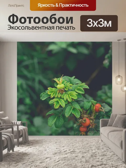 Фотообои Цветы