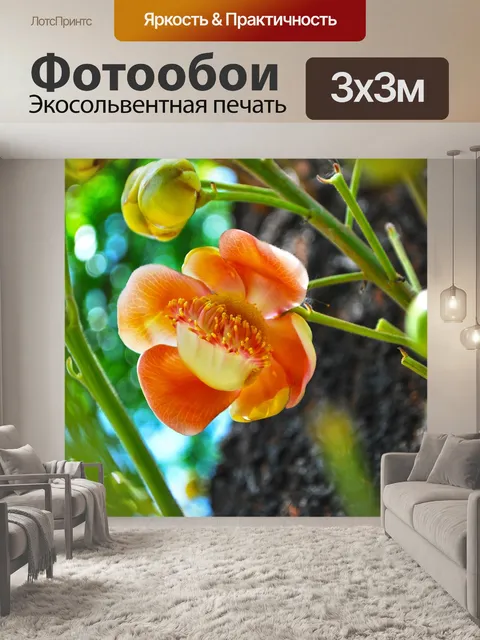 Фотообои Цветок