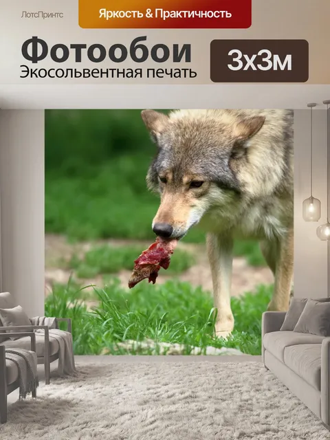 Фотообои Волк