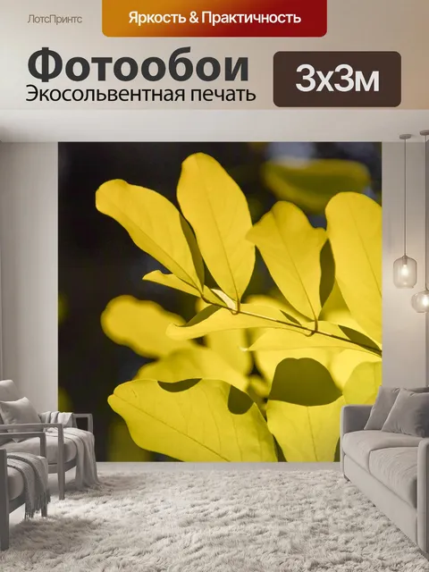 Фотообои Листья