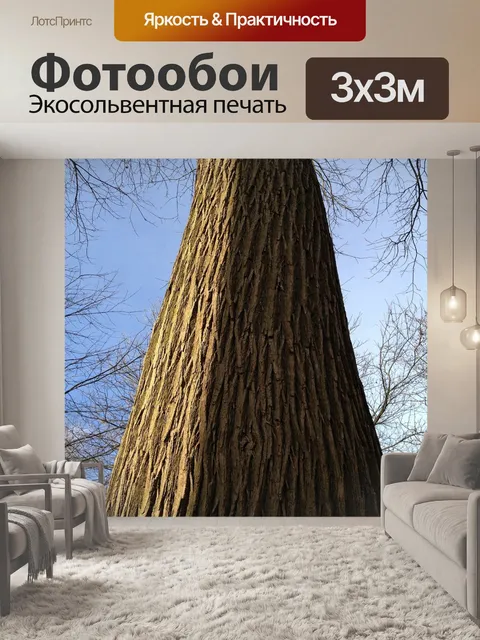 Фотообои Деревья