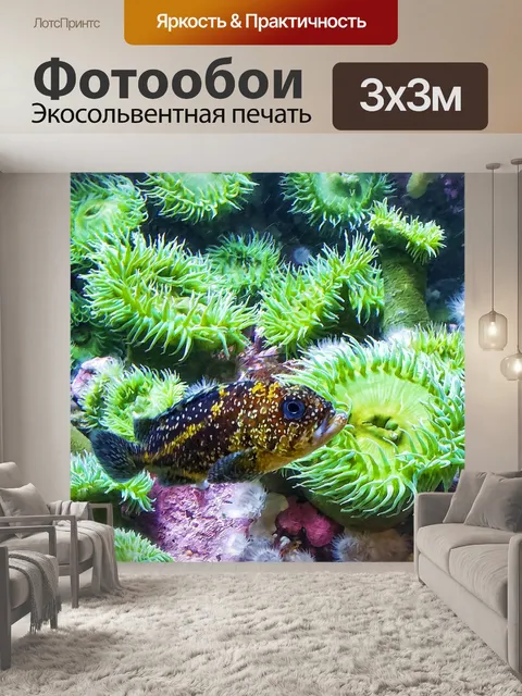 Фотообои морские тропические рыбы