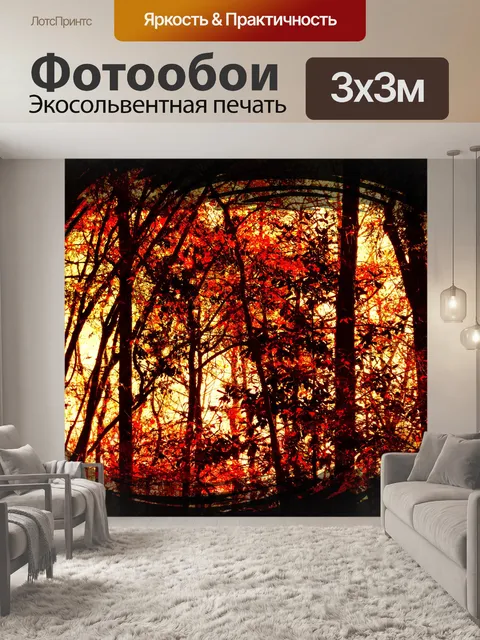Фотообои лес