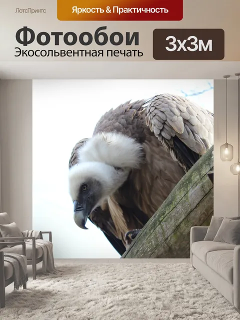 Фотообои Гриф