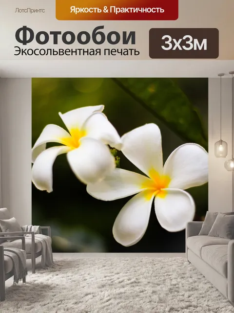 Фотообои Франжипани