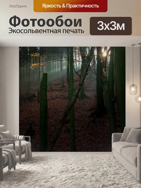 Фотообои Лес
