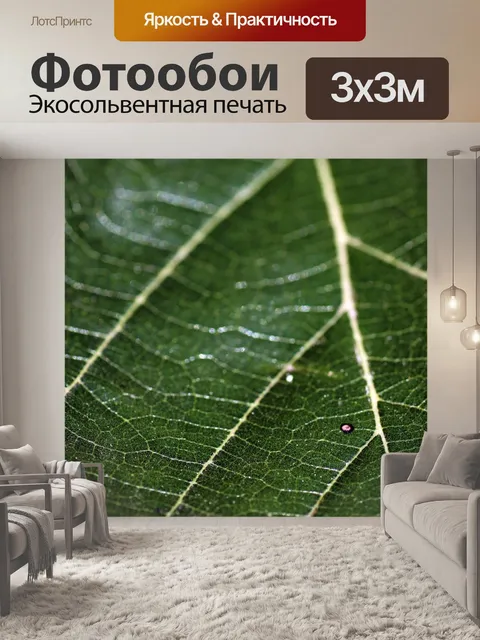 Фотообои Текстура