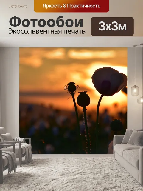 Фотообои Маки