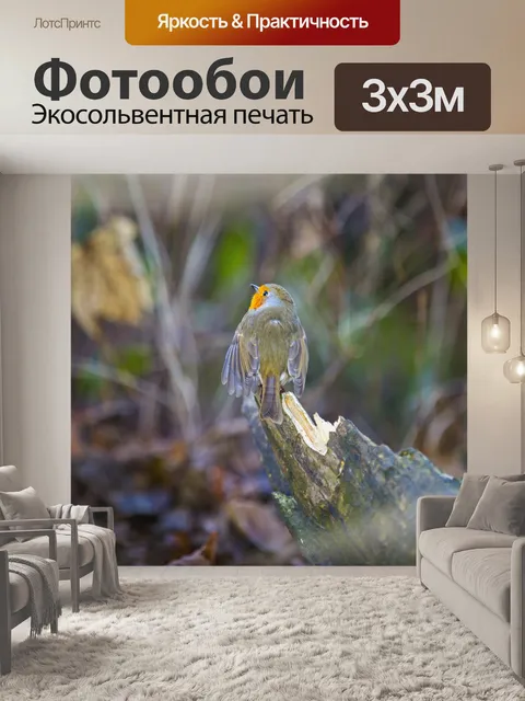 Фотообои Робин, Erithacus rubecula